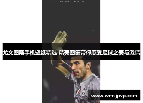 尤文图斯手机壁纸精选 精美图集带你感受足球之美与激情